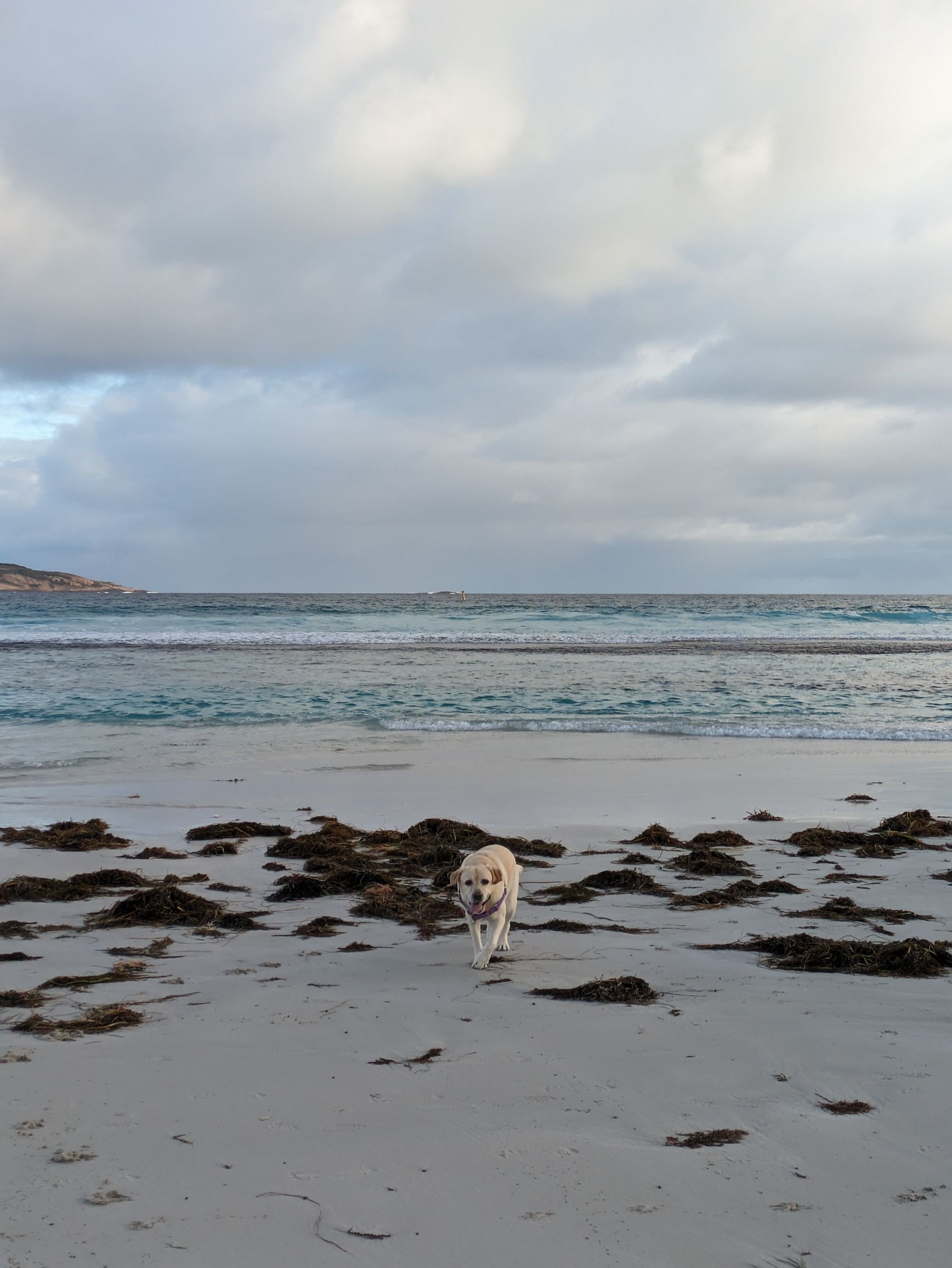 Observations from the Bottom of Australia