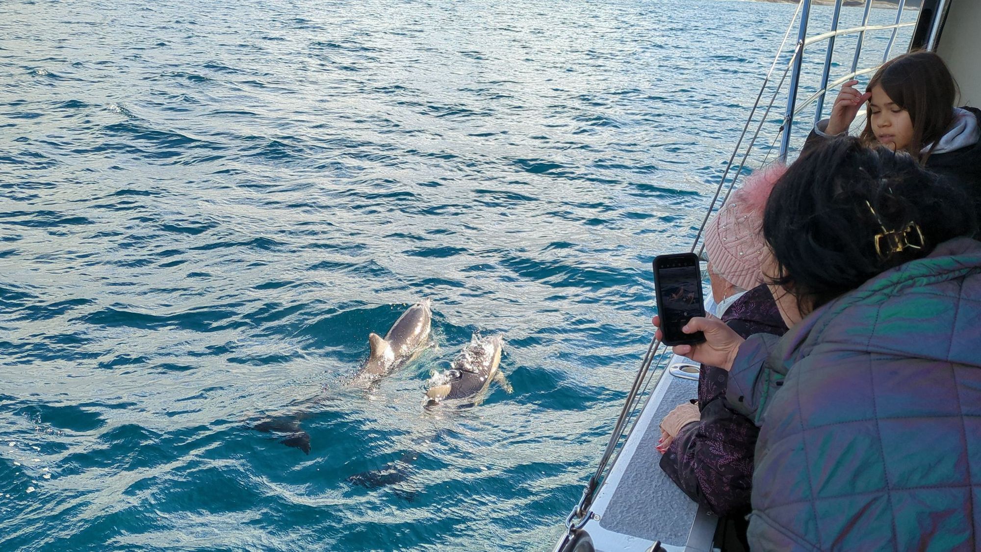 Observations from the Bottom of Australia