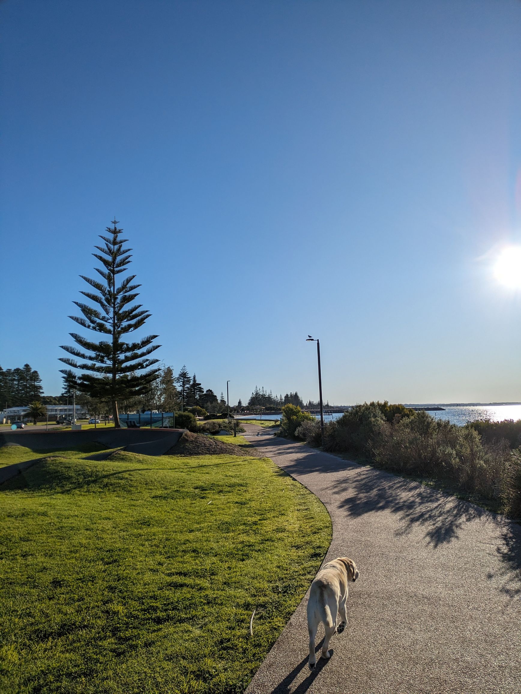 Observations from the Bottom of Australia