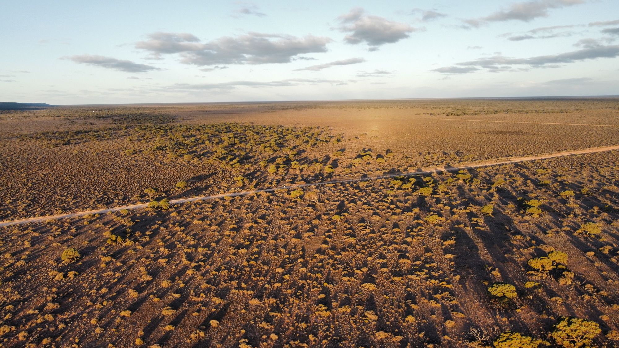 Driving across the Nullarbor